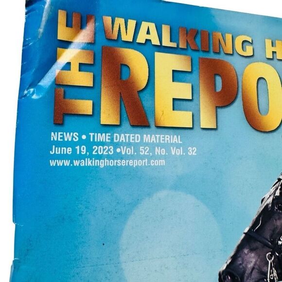 The Walking Horse Report -June 19, 2023 Walking for Cancer Grand Champ - Picture 3 of 8